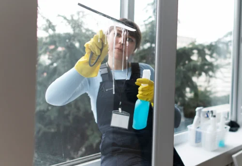 Nettoyage de vitres intérieures et extérieures aux Landes-Genusson